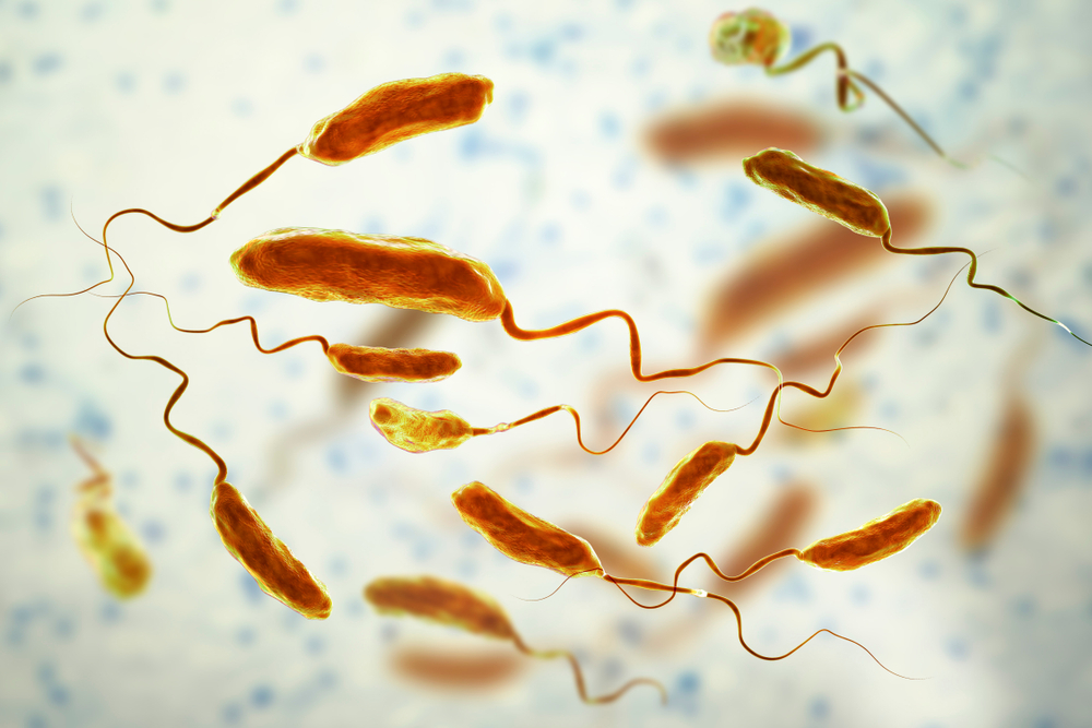 Cholera Choroba Przyczyny Objawy Leczenie I Profilaktyka 1382