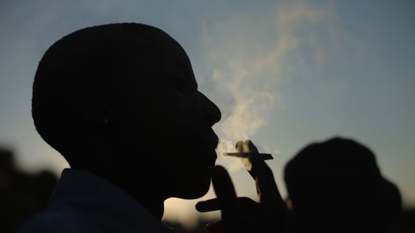 Here are the top 10 African countries that smoke the most cannabis