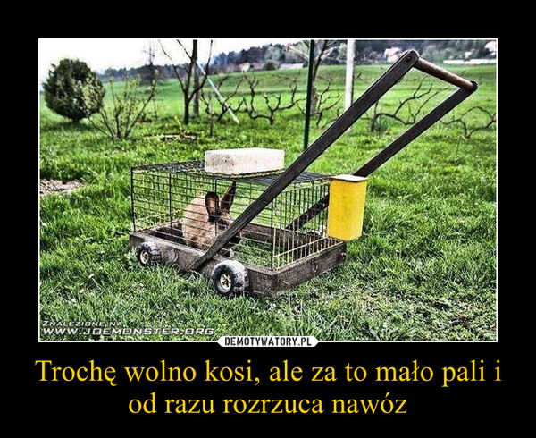 mem