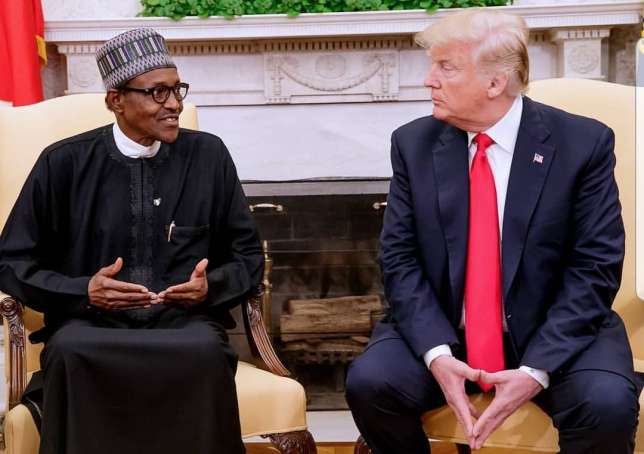 President Buhari and President Trump  (AllAfrica)