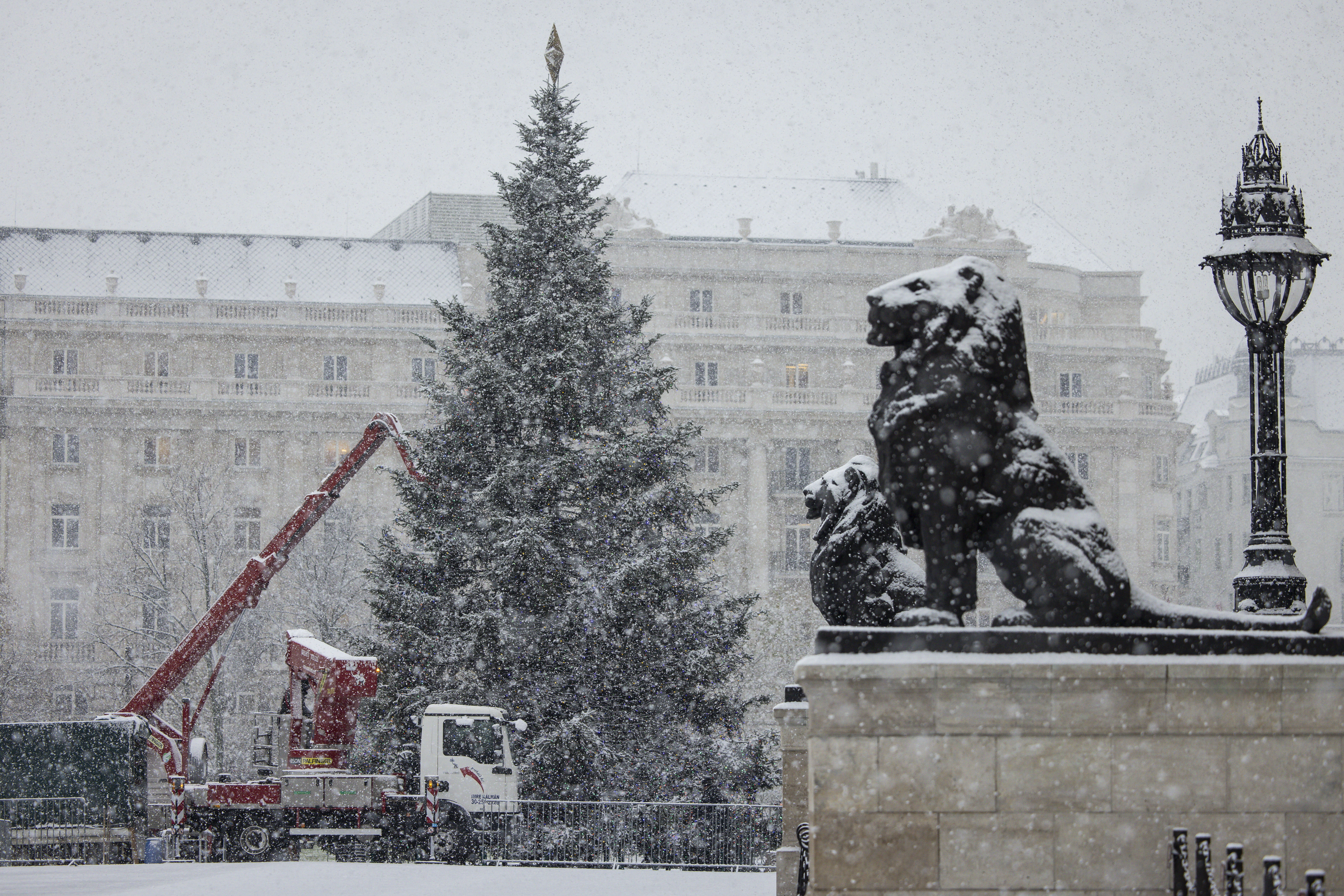 Havazásban díszítették az ország karácsonyfáját az Országház előtt - fotók