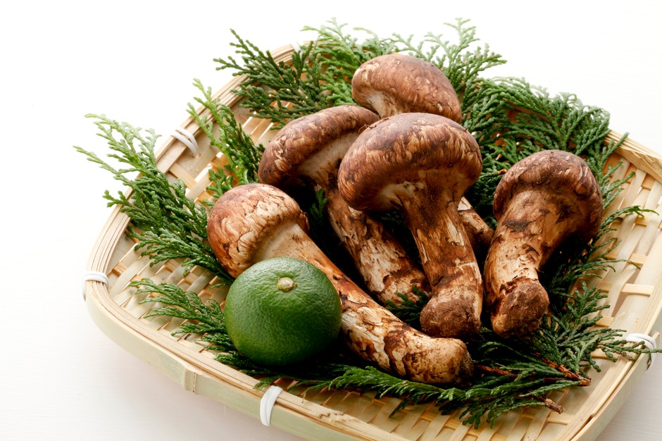 Grzyby Matsutake