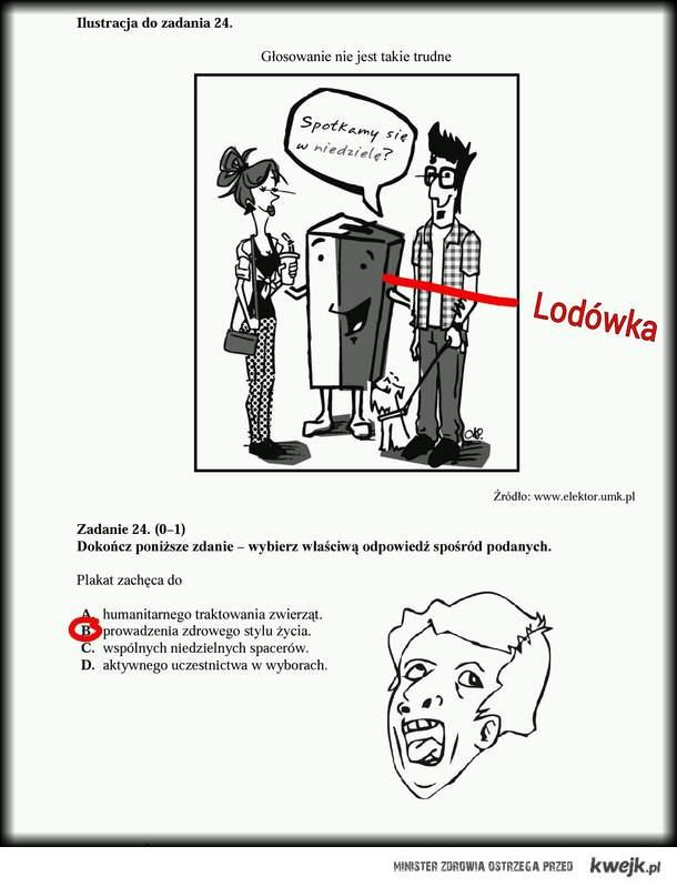 Egzamin gimnazjalny lodowka