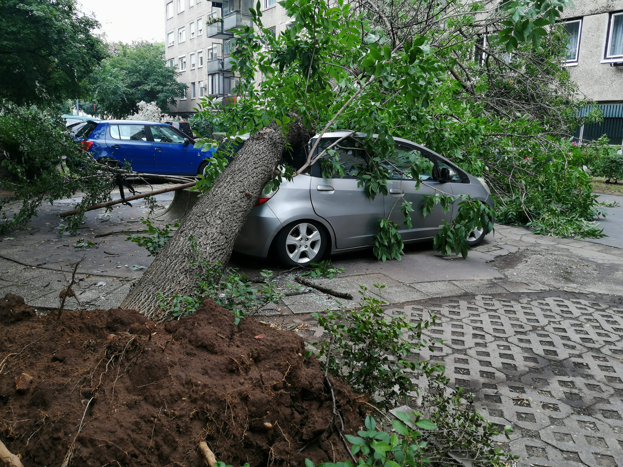 A szemünk előtt zajik a klíma-apokalipszis – A mostani állapotok lesznek normálisak, ideje megszoknunk a pusztító viharokat