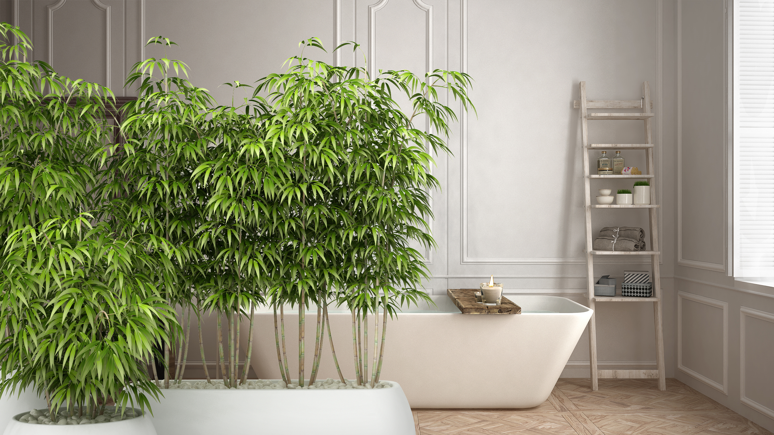 Hasznos, ha szobanövényt rakunk a fürdőbe - Blikk