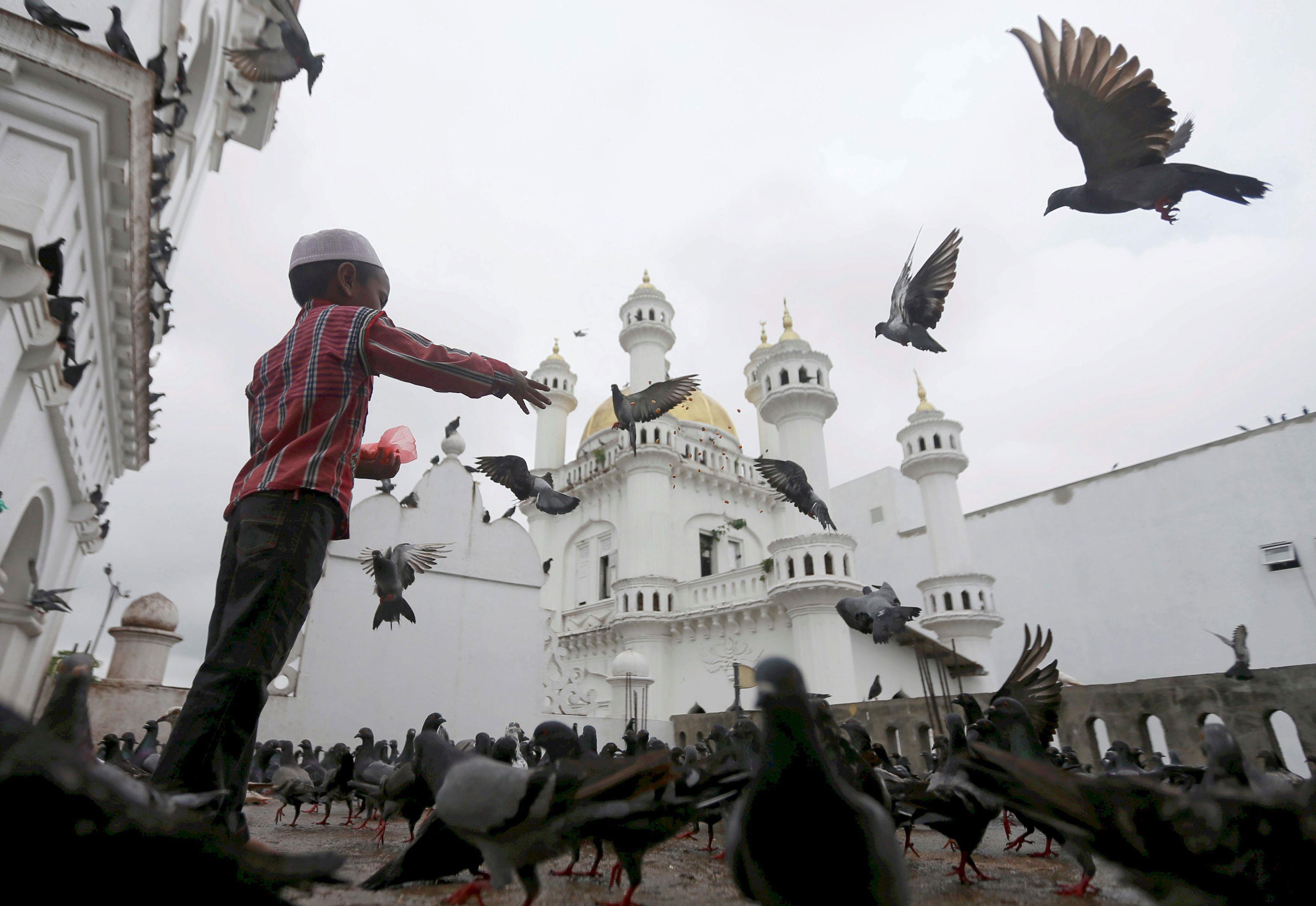 A Muslim boy feeds pigeons after Friday prayers during the holy month of Ramadan at a mosque in Colo