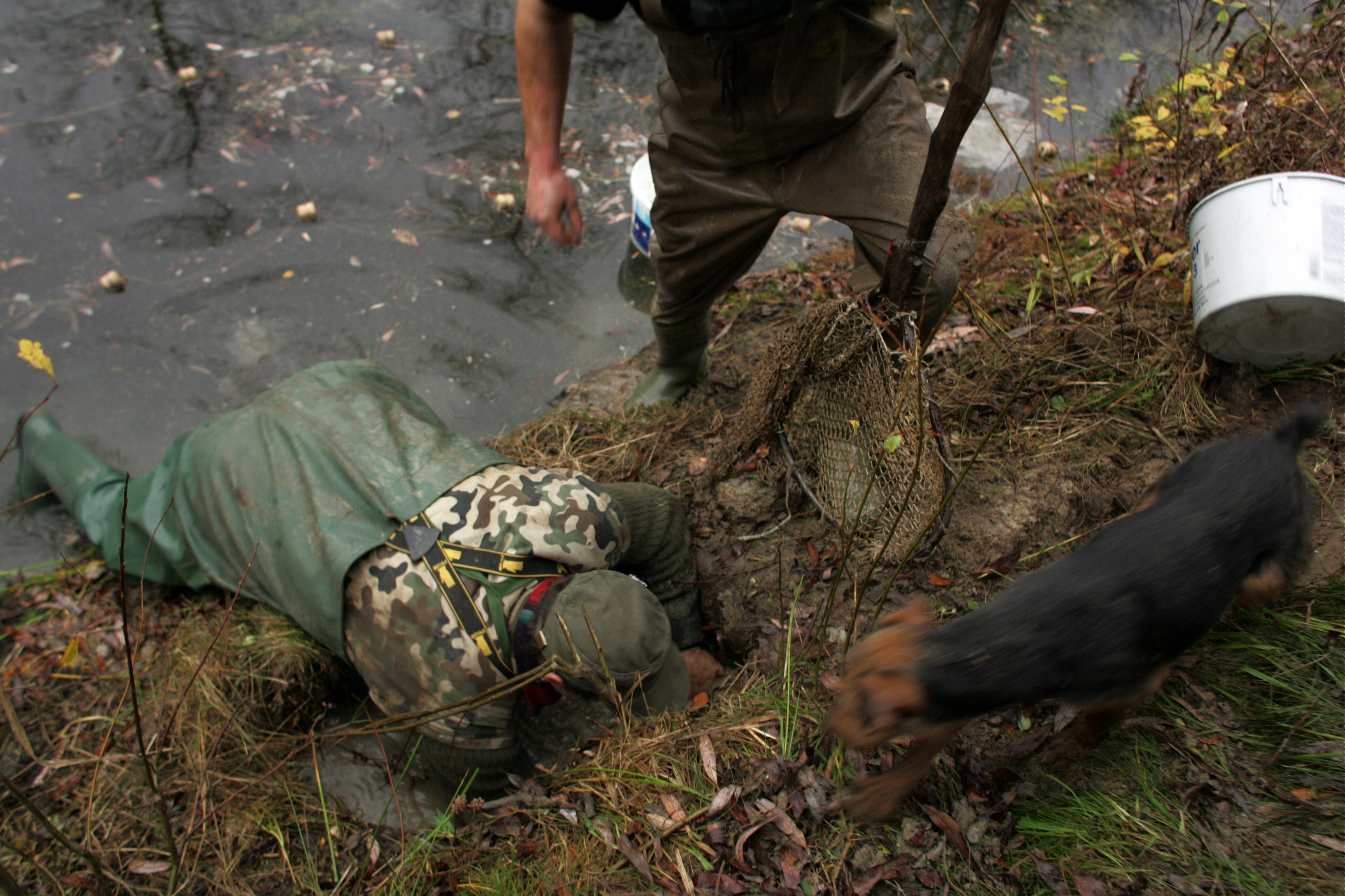 Fotoreportaż Wojtka Jargiło o przenoszeniu bobrów zwyciężył w konkursie BZ WBK PRESS FOTO 2009 w kategorii przyroda