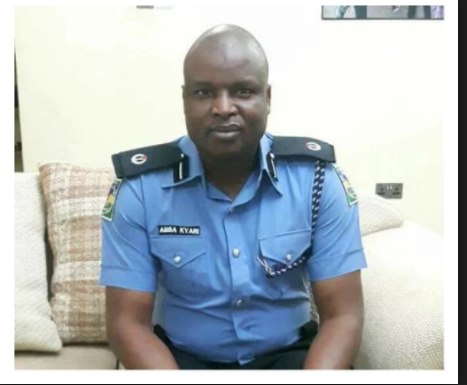 CSP Abba Kyari, IRT leader, has been celebrated in Nigeria for cracking high profile cases (Guardian)