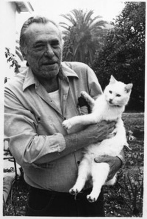 Charles Bukowski miał jednego ukochanego kota o imieniu Factotum. Ale twierdził, że im więcej masz kotów, tym dłużej żyjesz. Sam dożył 73 lat, choć niektórzy sądzą, że wciąż chodzi po tym świecie.