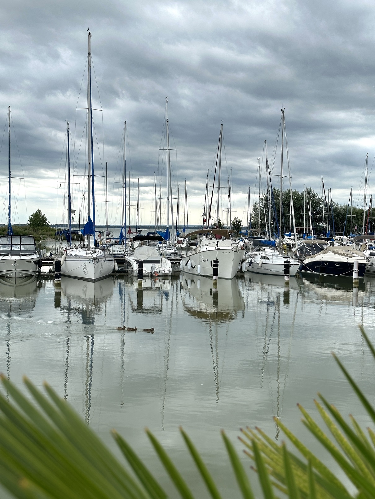 Augusztus 20-án újra István, a Király Kupa a Keszthelyi-öbölben!