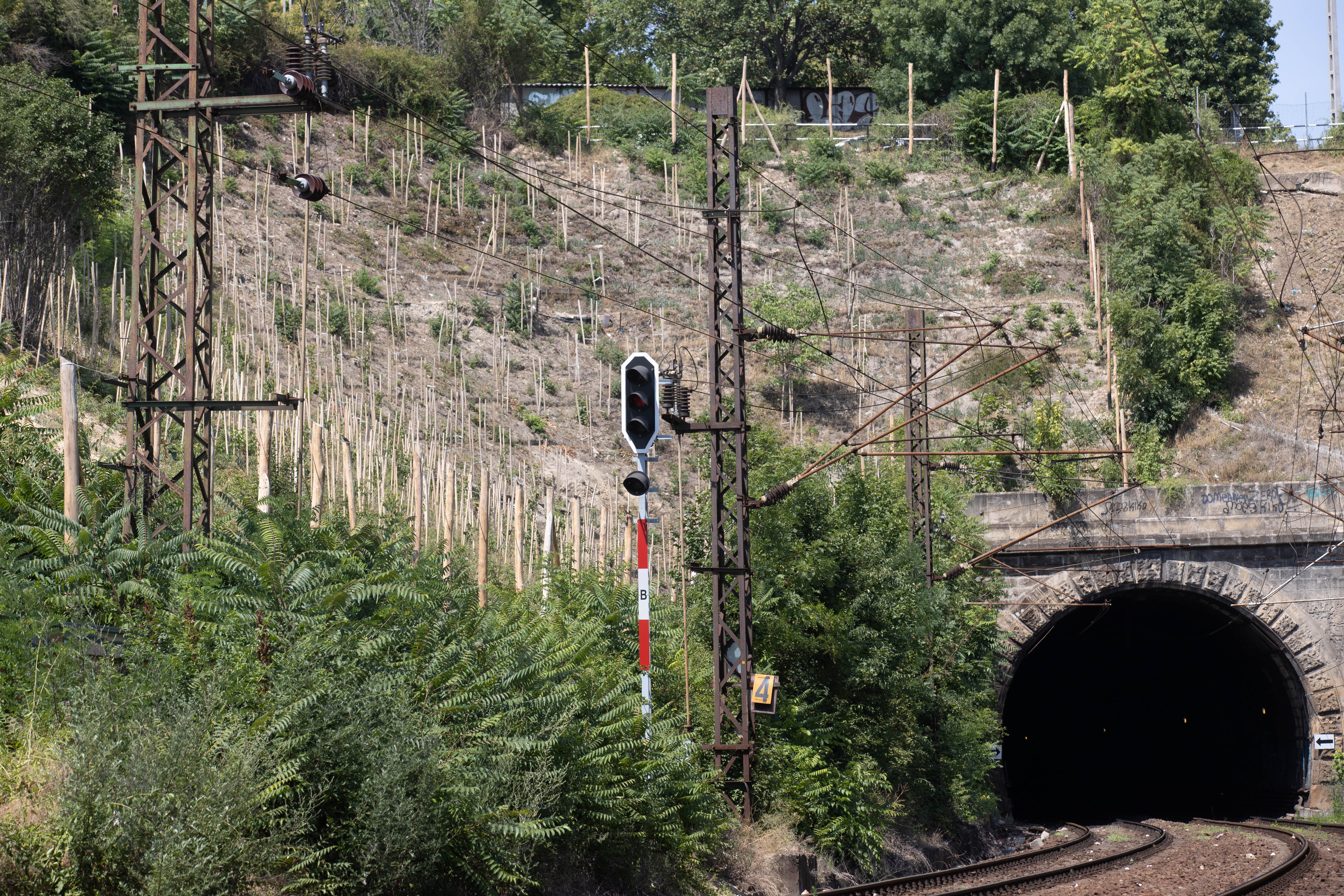 Gyümölcsfákat ültetett, beperelte a MÁV: bíróság elé állt az építész