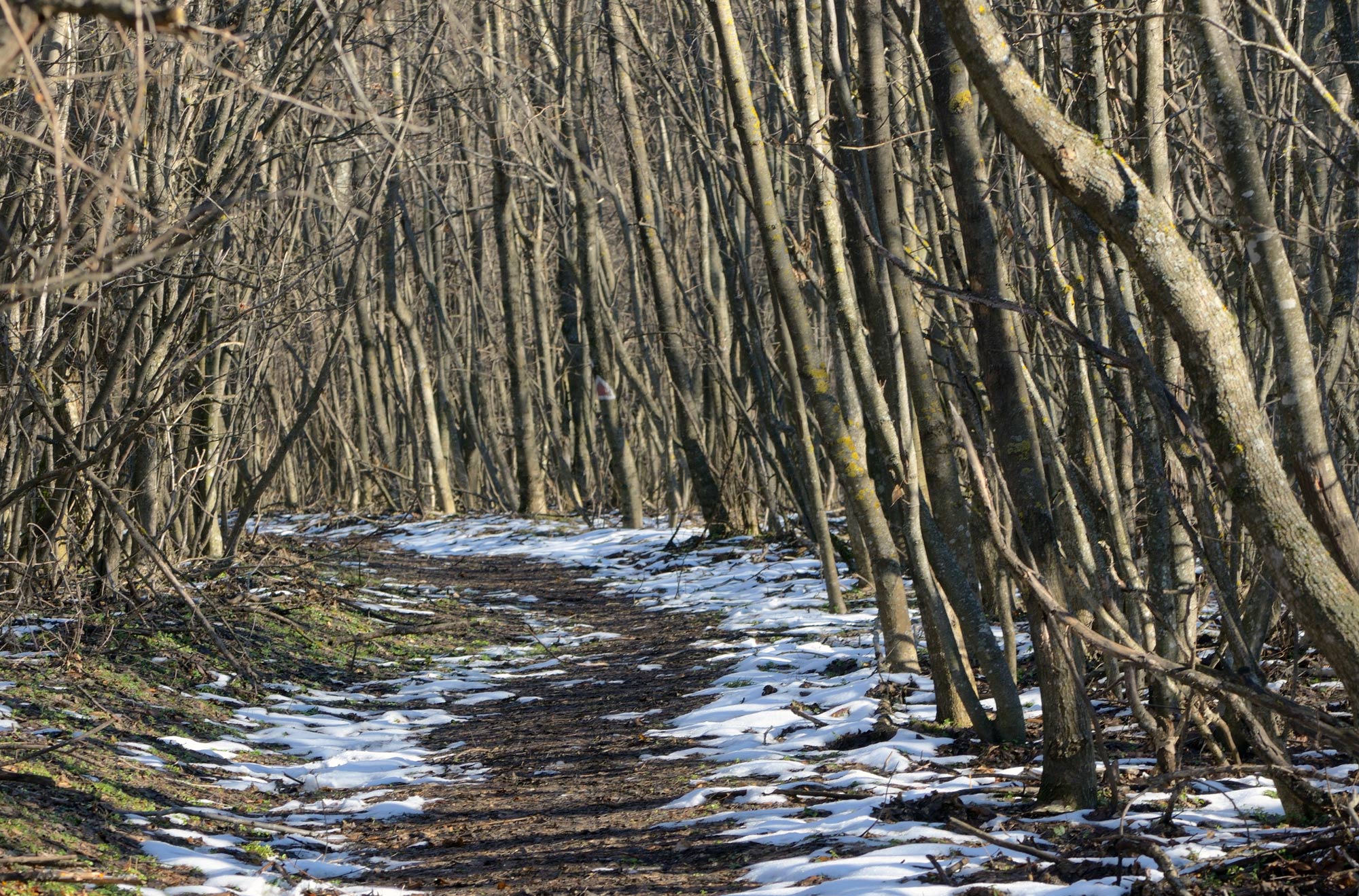 Karácsonyi időjárás - Nagyjából el is dőlt, milyen idő lesz az ünnepek alatt - ki számít hóra?