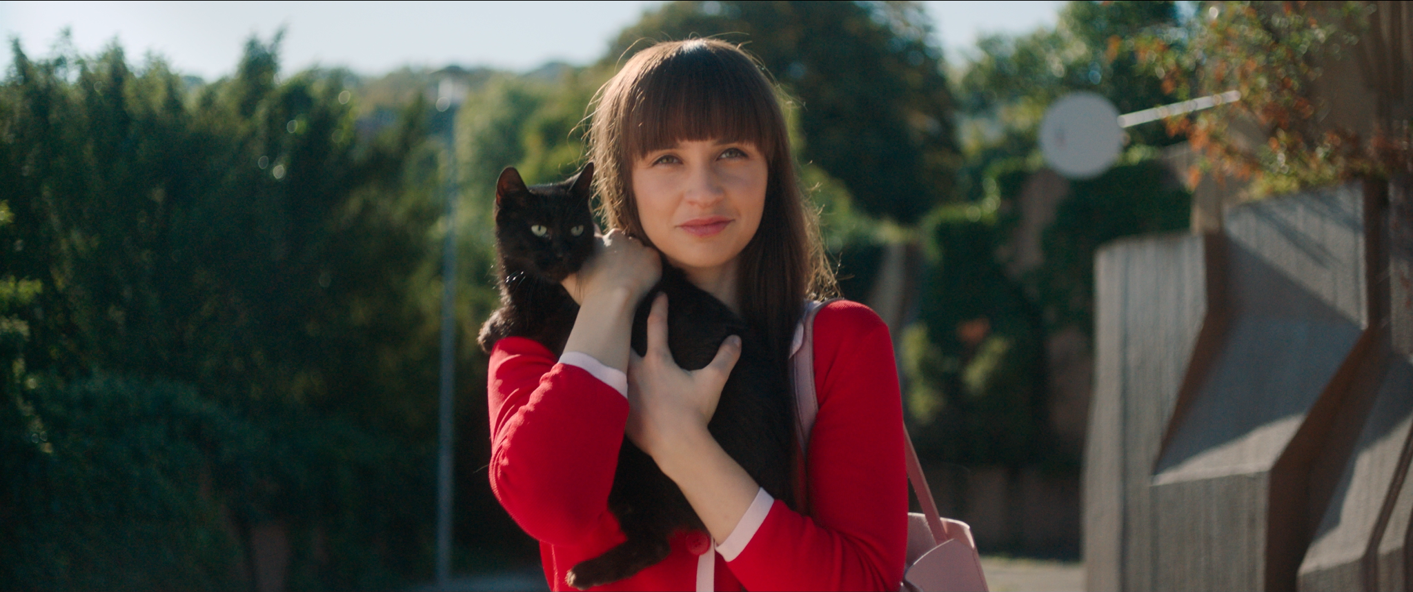 Így teheti tönkre az életünket egy gengszterrapper macska