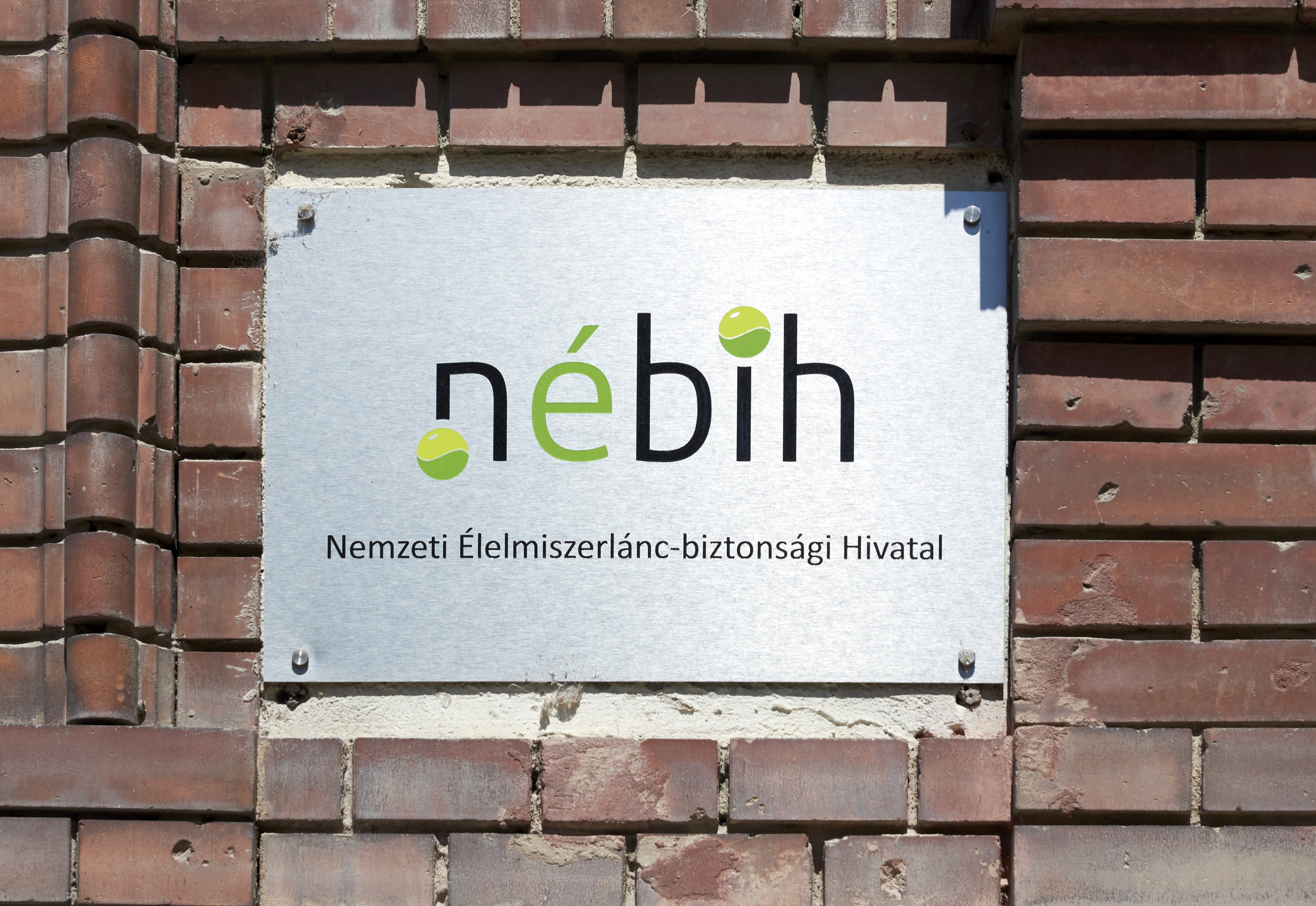 Országos vizsgálatot rendelt el a Nébih a kéknyelv-betegség miatt