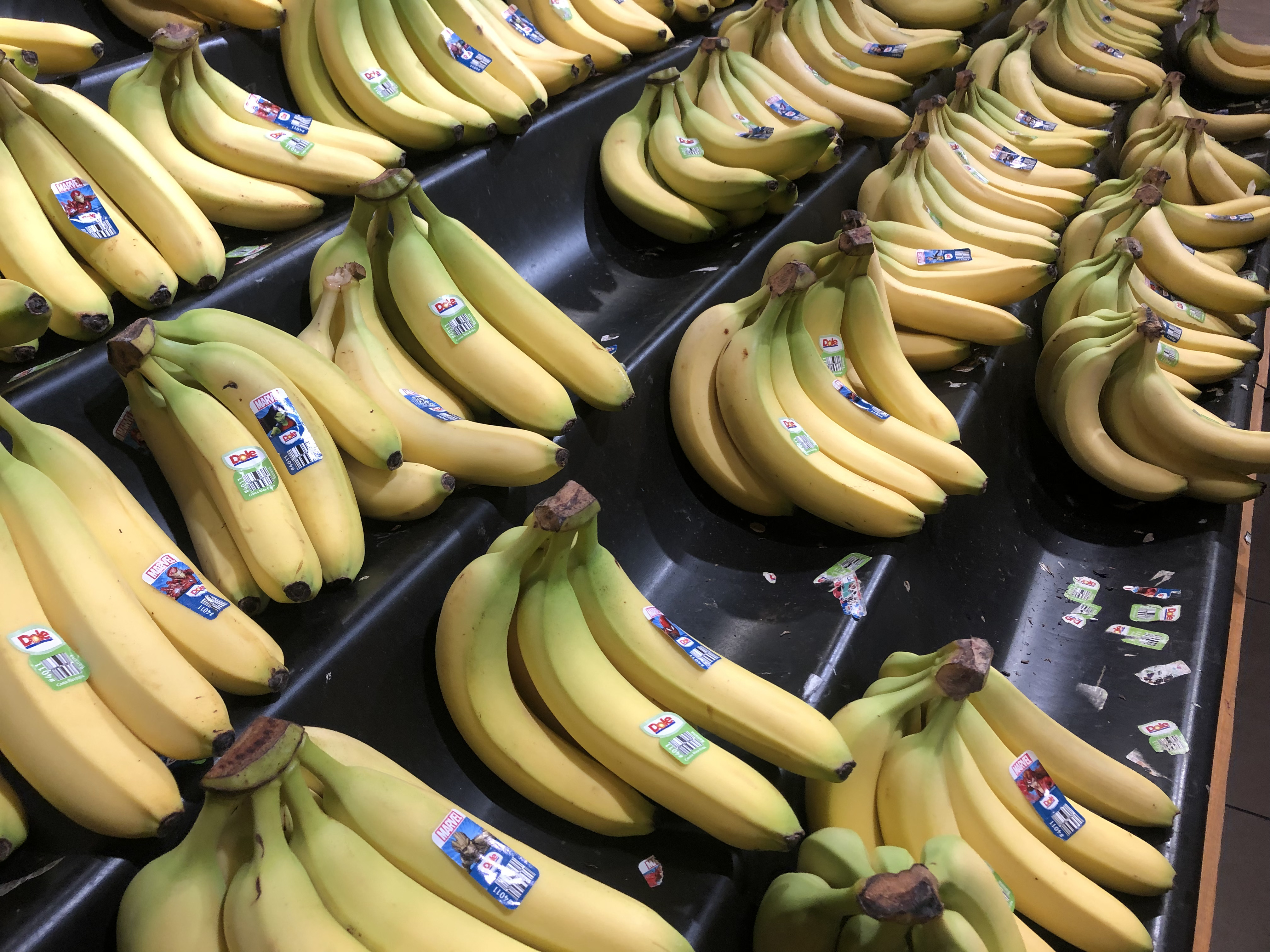 Horror a hipermarketben - A világ legnagyobb mérges pókját vitte haza egy vevő a banánhoz csomagolva