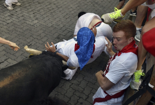 Fiesta budzi wiele kontrowersji: z jednej strony przyciąga dziesiątki tysięcy osób z całego świata, z drugiej co roku niesie za sobą dziesiątki rannych ludzi i zabitych byków. Co roku podczas tego święta ginie ich około 50.