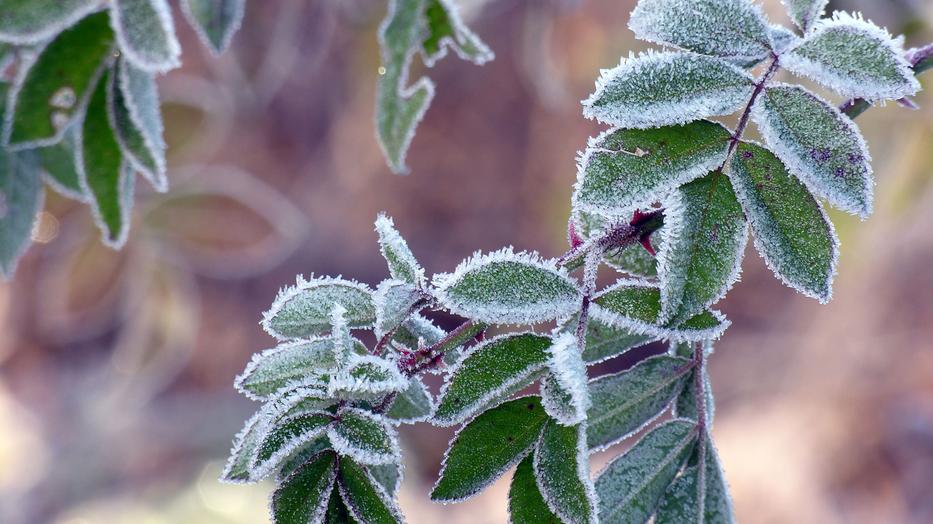 Akár -4 fok is lehet! - Hiába süt ki a nap, visszatér a télies hideg