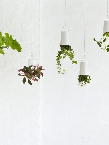 Sky Planter