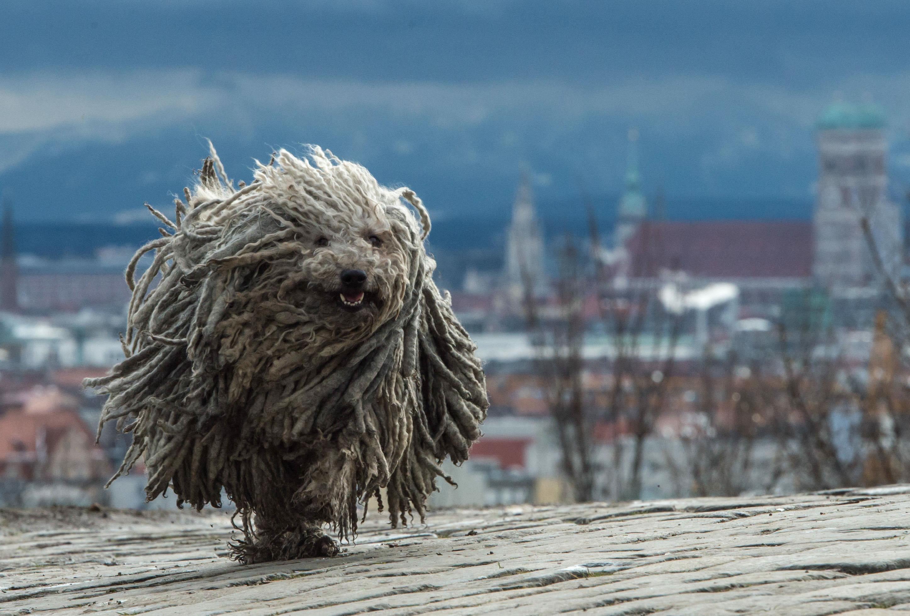 Stormy weather in Munich