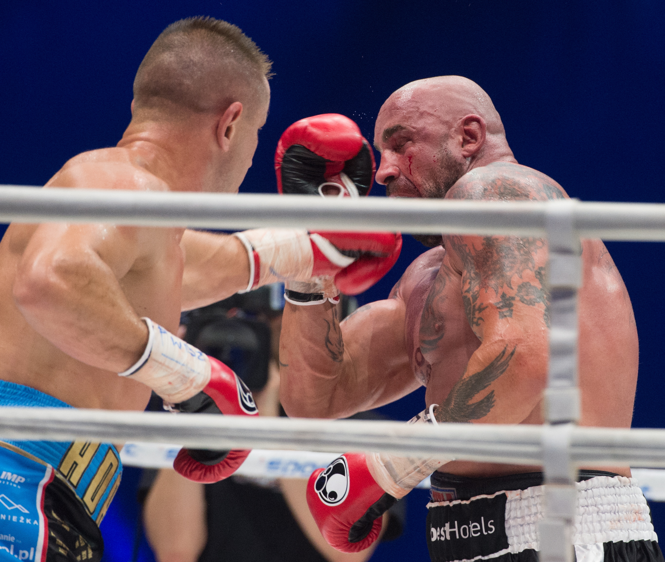 Tomasz Adamek pokonał Przemysława Saletę podczas gali Polsat Boxing Night