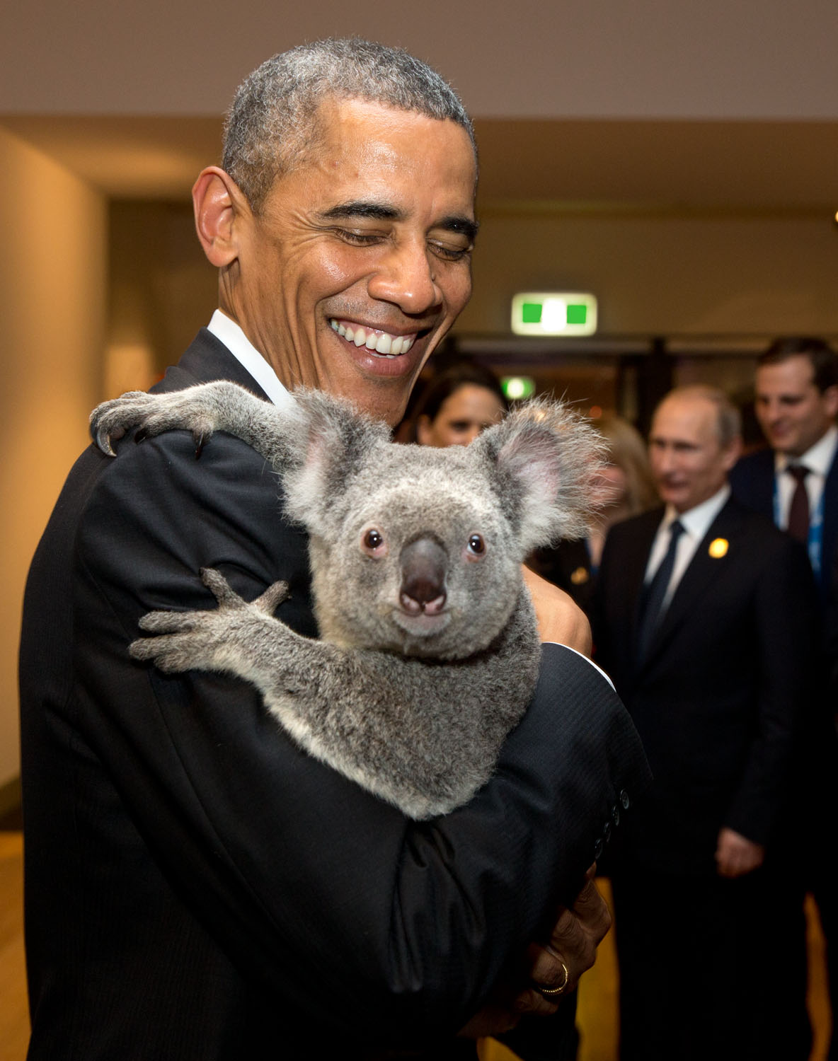 15 listopada 2014 roku. Obama z koalą w ramionach za kulisami ceremonii otwarcia szczytu G20 w Brisbane, w Australii