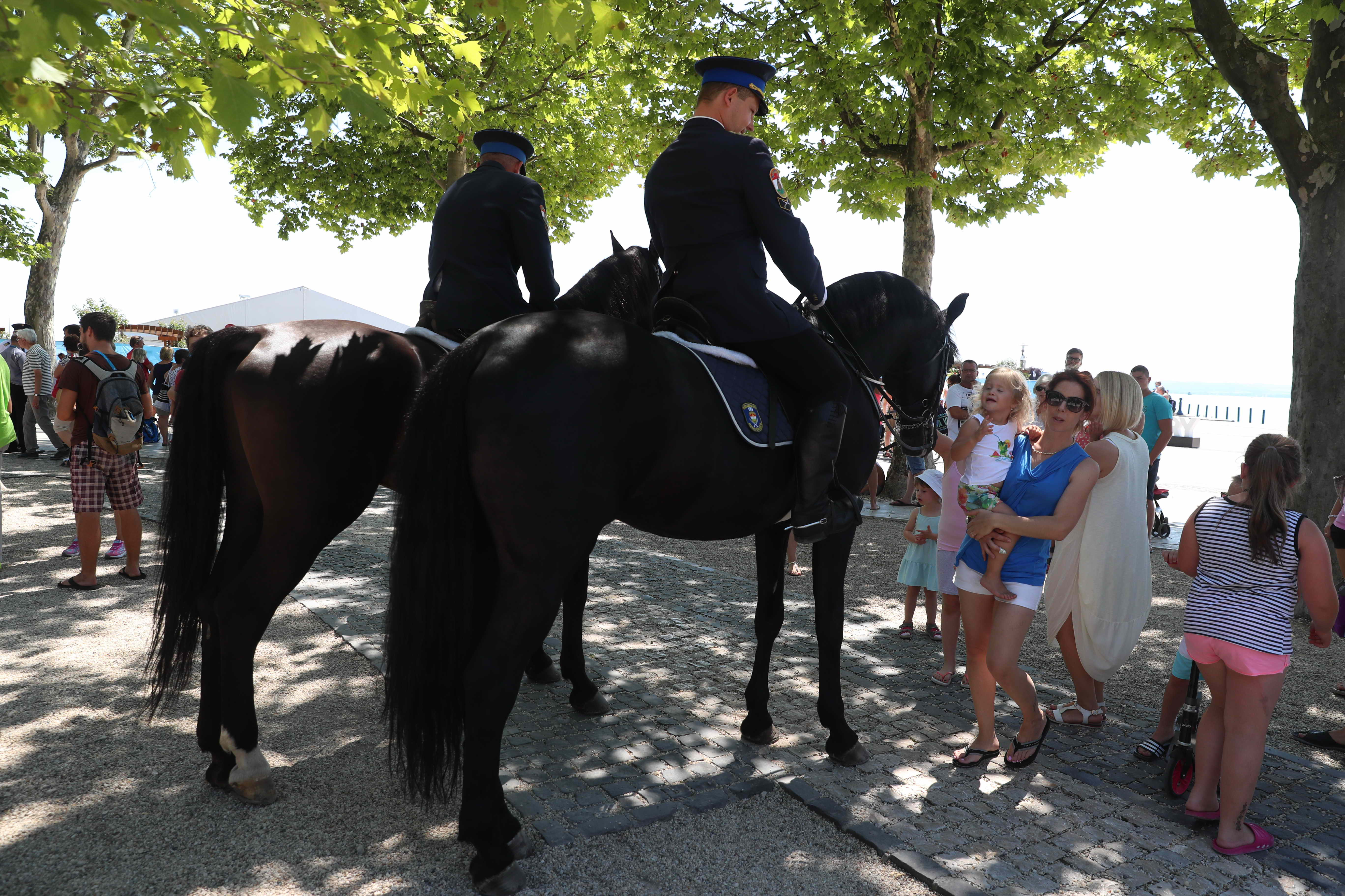 Lovasrendőrök ügyelnek az erdő nyugalmára a budai hegyekben