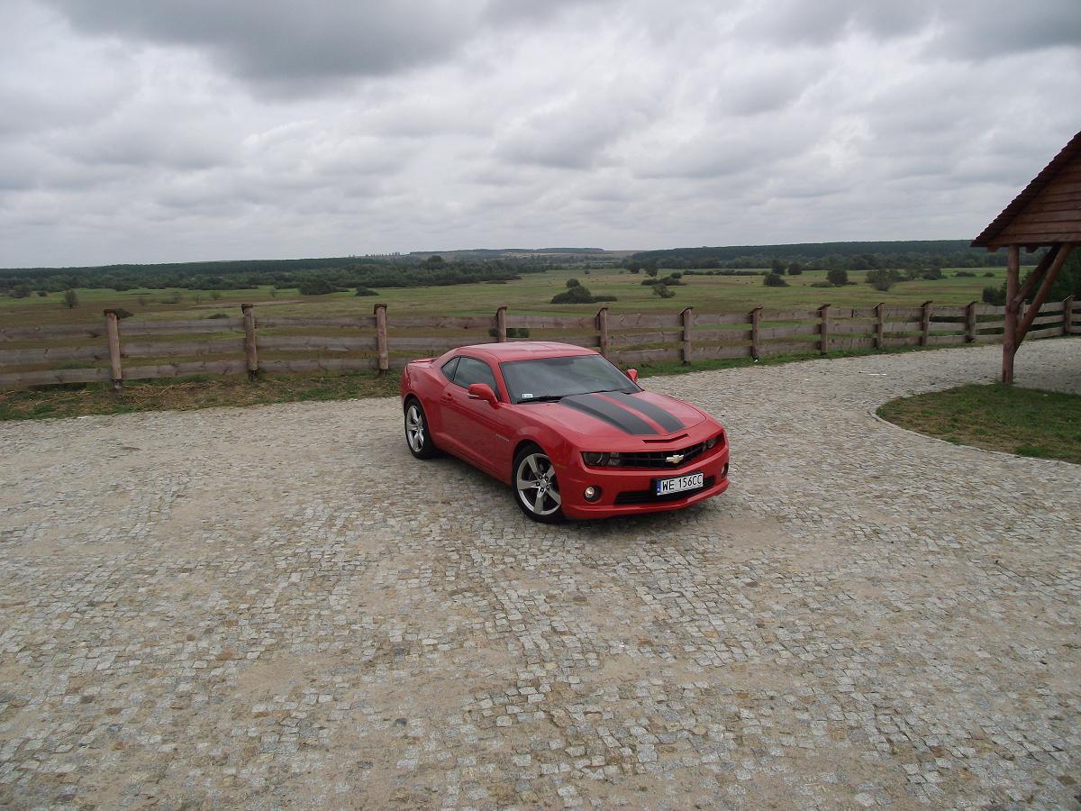 Chevrolet camaro