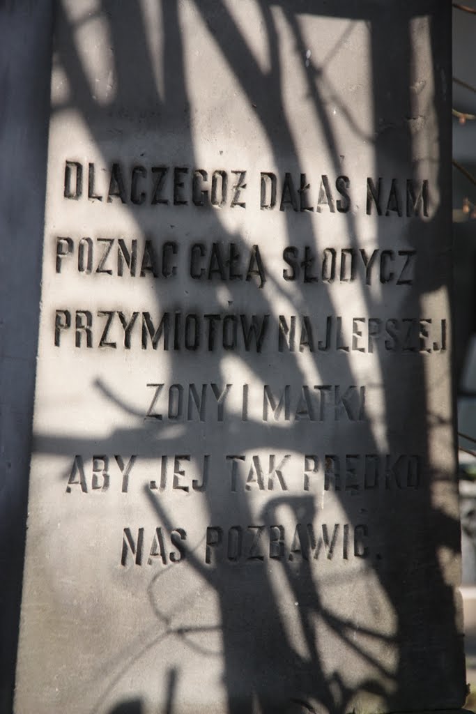 Ponad 560 zabytkowych nagrobków znajduje się na tej niewielkiej, skromnej nekropolii. Cmentarz ten został założony w pierwszych latach XIX wieku, początkowo jako miejsce spoczynku dla wiernych wyznania rzymskokatolickiego. W latach 30. XIX wieku rozpoczęto na wytyczonym obok miejscu pochówki przedstawicieli licznej w Łomży społeczności ewangelickiej. W latach 30. wydzielono również teren na cmentarz prawosławny, na którym miejsce wiecznego spoczynku znaleźli carscy urzędnicy i ich rodziny, zwłaszcza od kiedy Łomża stała się najpierw stolicą guberni augustowskiej (w roku 1837), a następnie - łomżyńskiej (w 1867 roku).