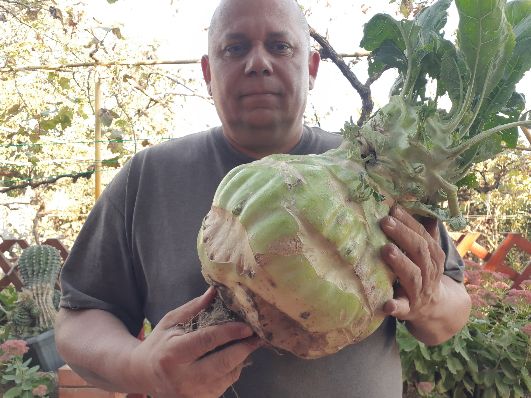 10 kilós a karalábé, 4 kilós a cékla: gigazöldségek teremnek a kelet-magyarországi csodakertben – Nézze csak a fotókat!