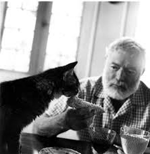 Absolutnym kociarzem był Ernest Hemingway. W domu na Key West mieszkał z czterdziestoma mruczkami. Słabość do kotów tłumaczył prosto: „Posiadanie jednego kota prowadzi do posiadania następnego”. Proste też były jego sposoby, na zapewnienie opieki tak licznej kociej rodzinie. By koty miały stały dostęp do świeżego mleko kupił im krowę.