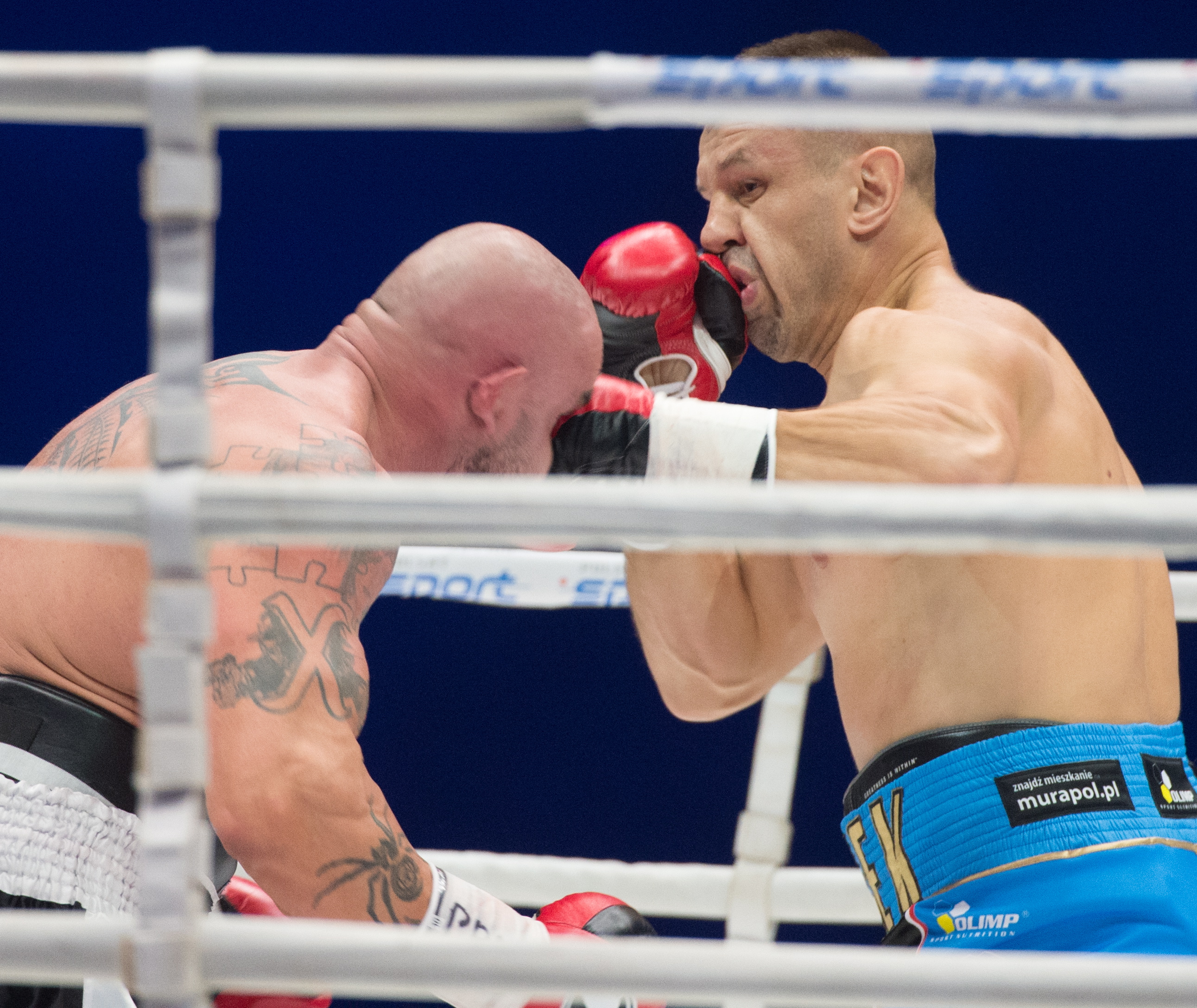 Tomasz Adamek pokonał Przemysława Saletę podczas gali Polsat Boxing Night