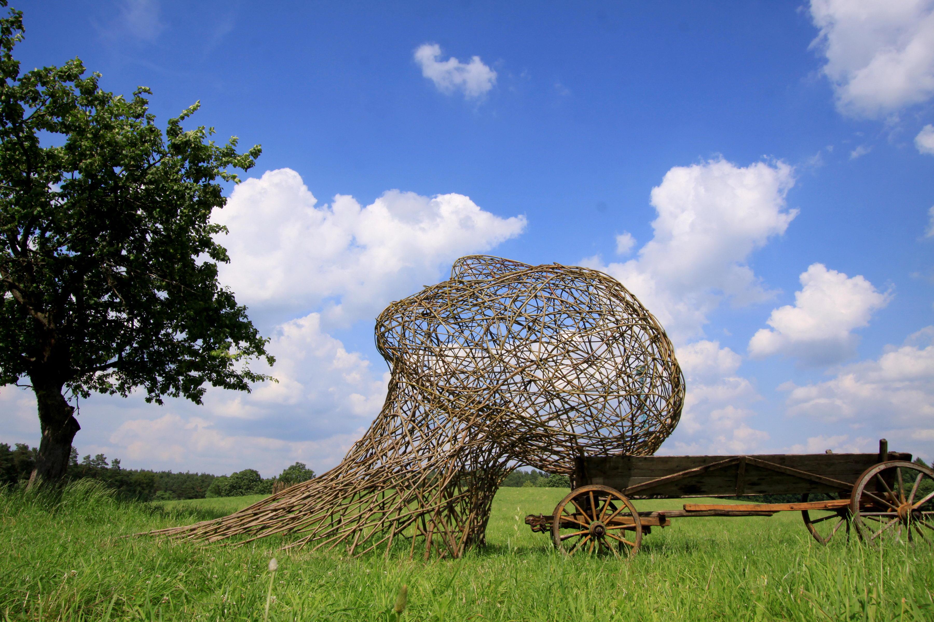 land art, sztuka, instalacje, natura, biała podlaska