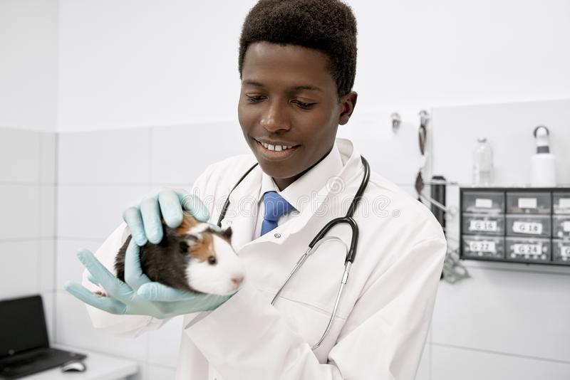 6 fun side income ideas for Veterinarians in Africa