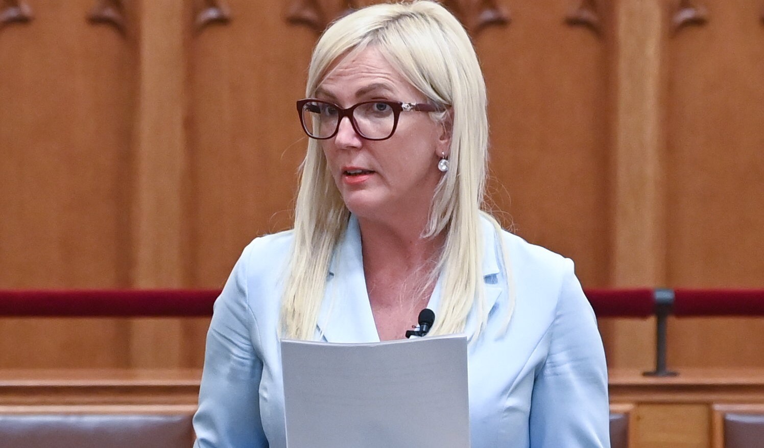 Elhagyta férjezett nevét a DK képviselője