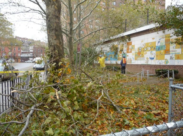 ozdobińska Skutki huraganu Sandy park drzewa do tekstu