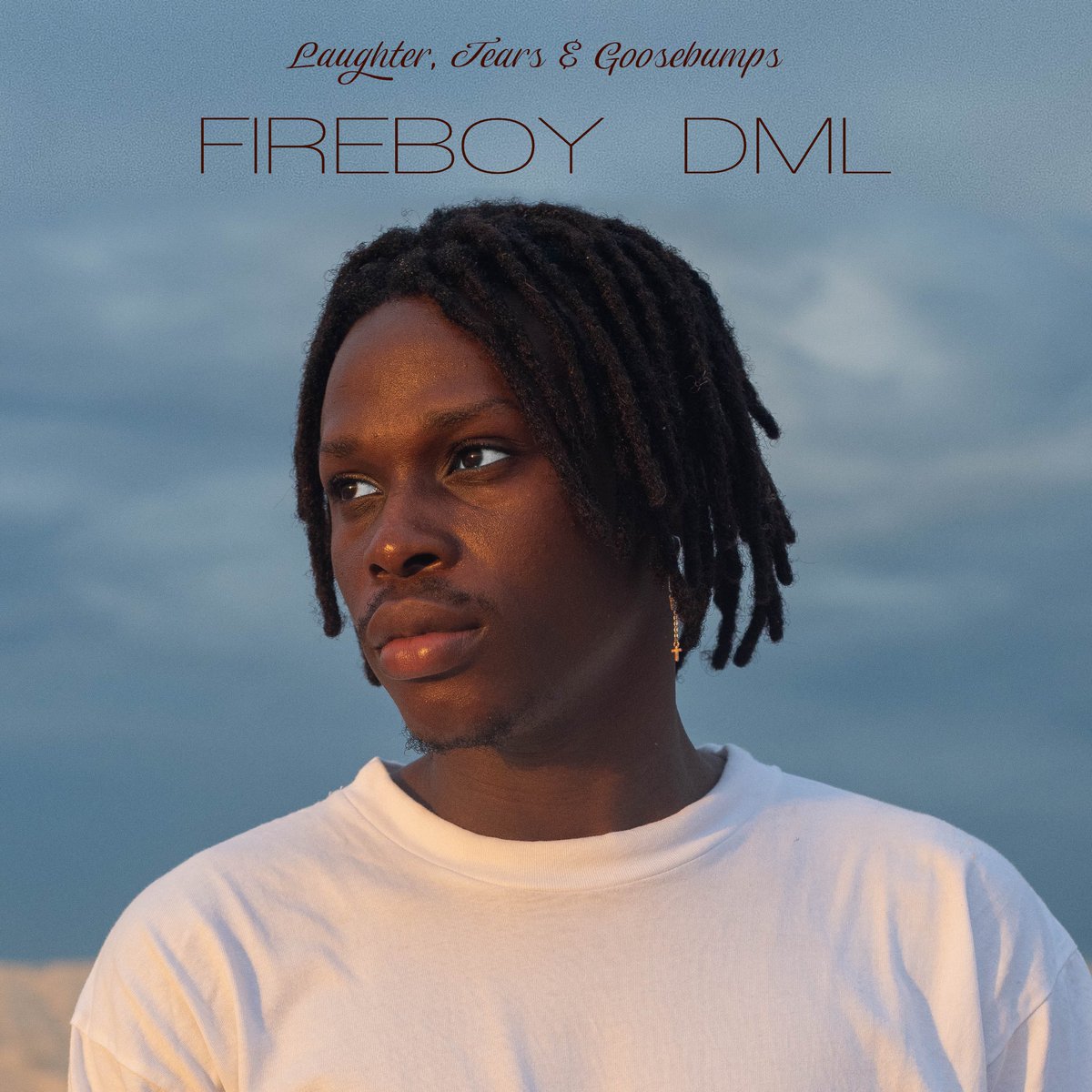 Fireboy releases debut album, 'Laughter, Tears and Goosebumps.' (Twitter/FireboyDML)