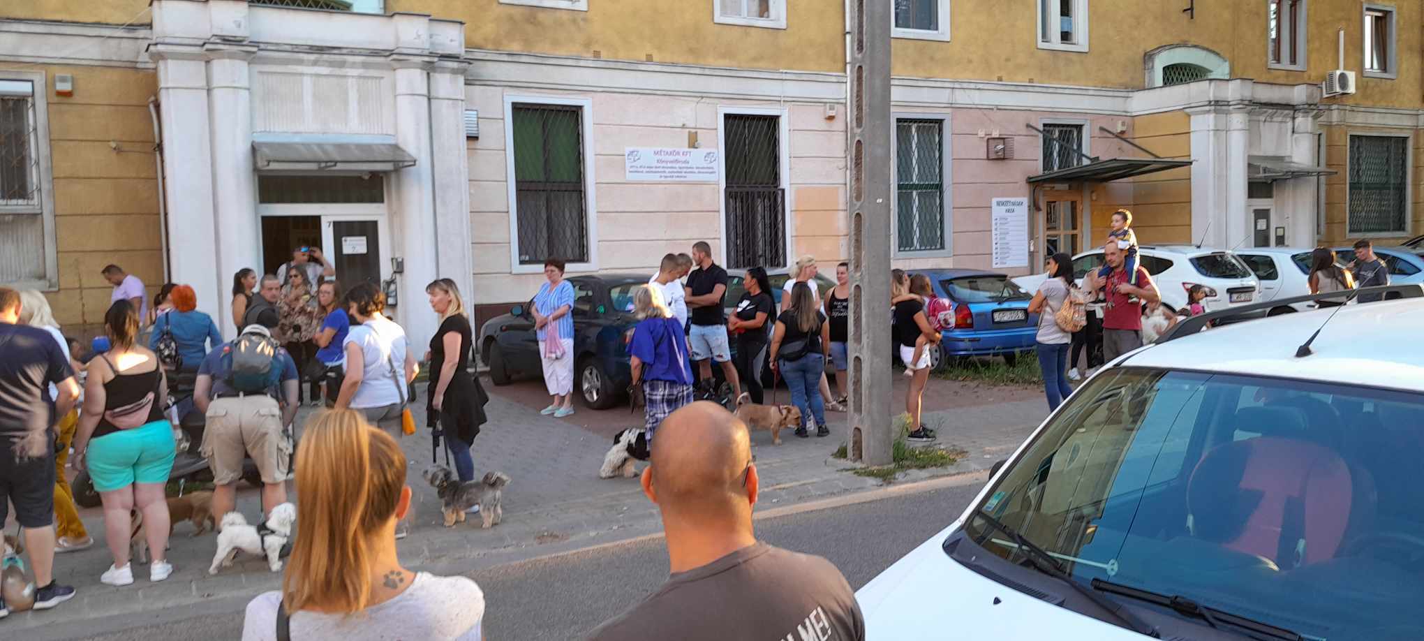 Kis híján botrányba fulladt az összejövetel, amelyet az ablakon kidobott kutya emlékére tartottak Budapesten: a rendőröket is kihívták