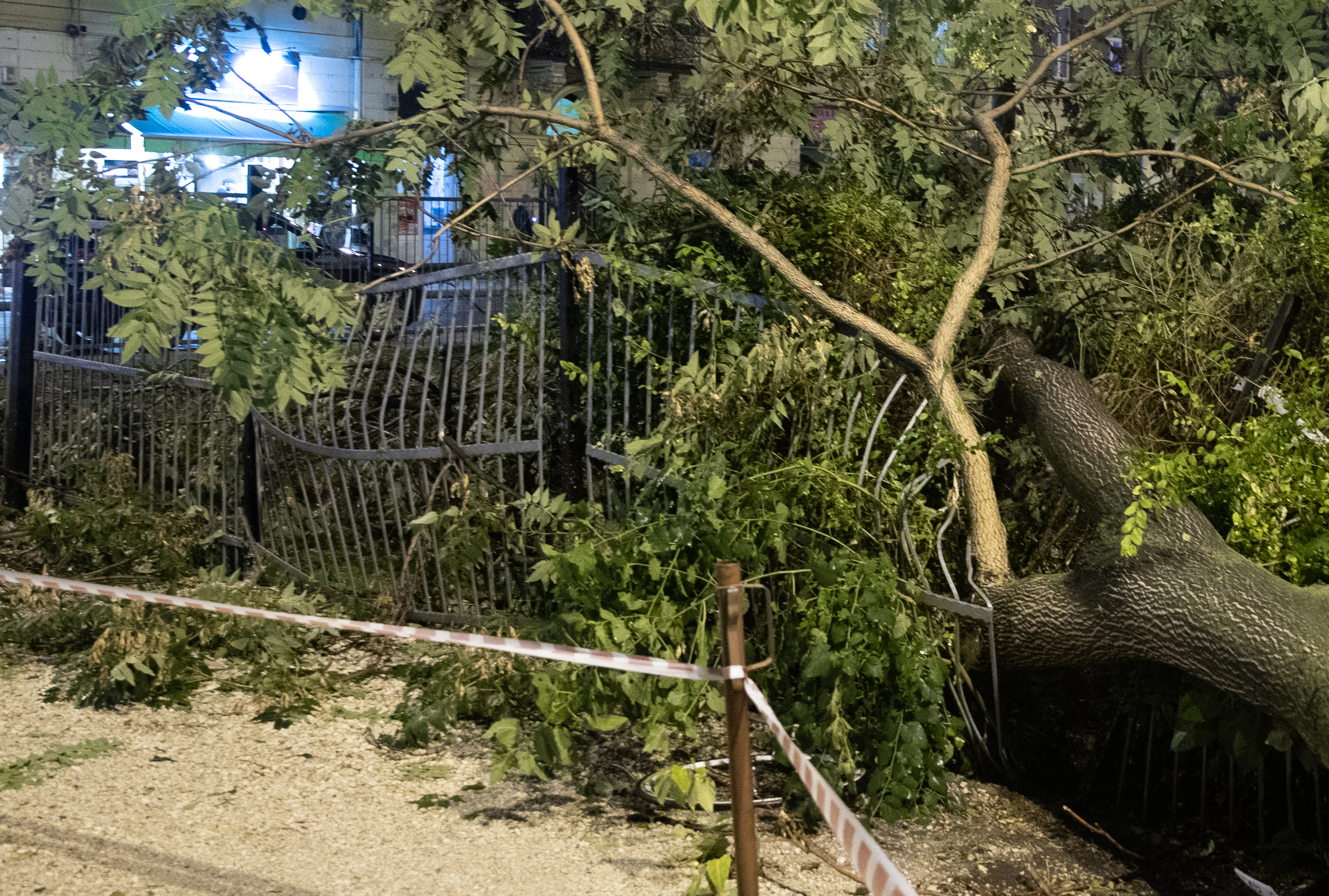 Villámárvíz, autókra dőlt fák: Ceglédet és Hódmezővásárhelyet széttépte a pusztító vihar – fotók, videó
