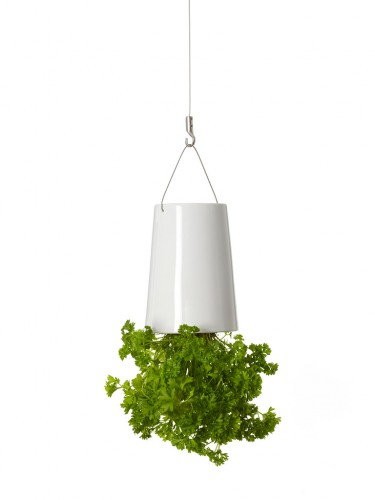 Sky Planter