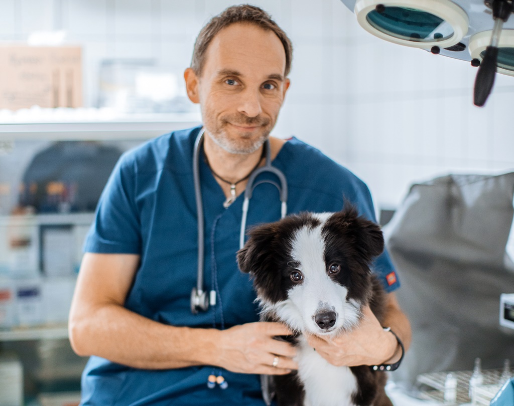 Egy állatorvos, aki mindig elérhető – dr. Varga József, a Család utcai  rendelő csodadokija | EgészségKalauz