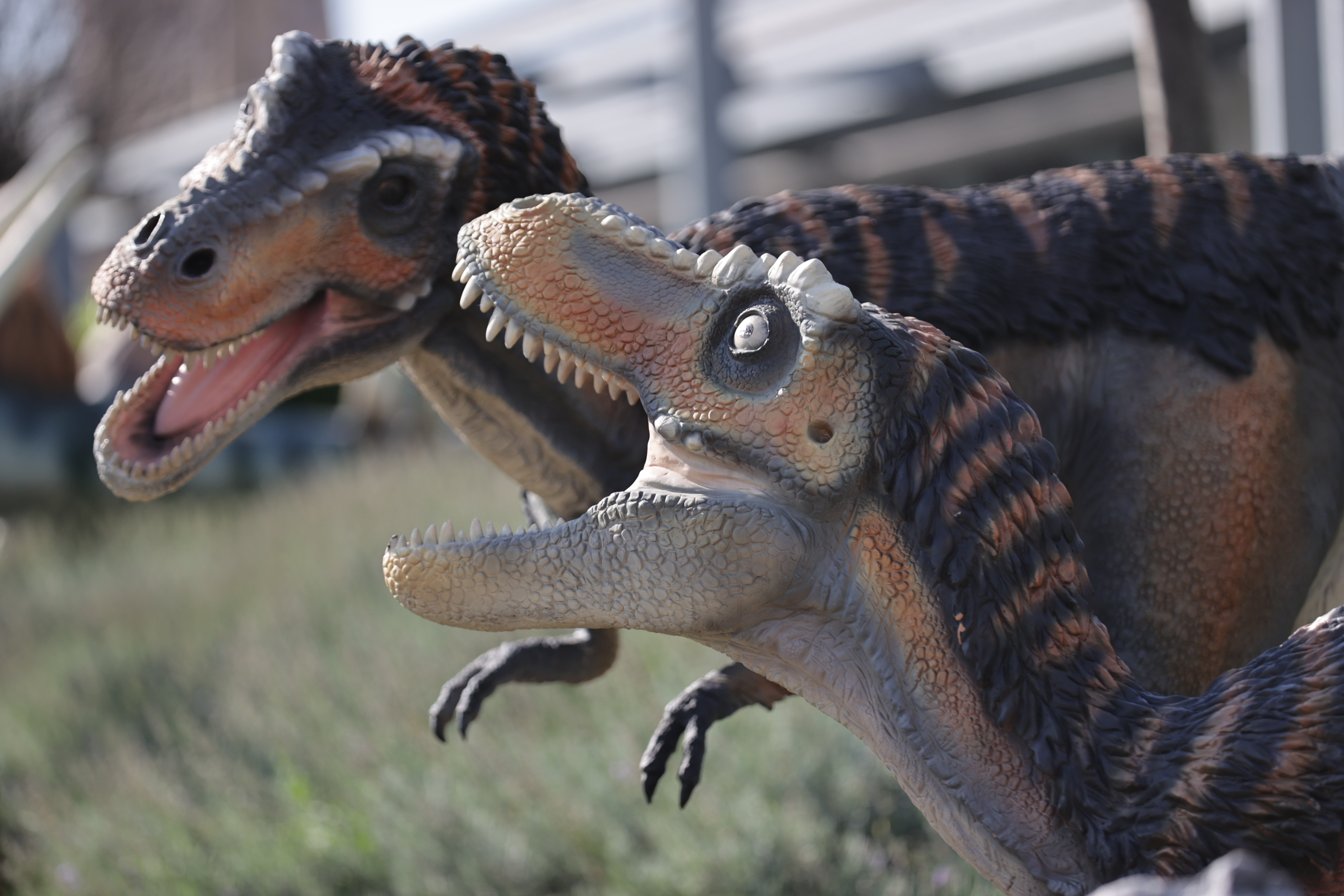 80 dinoszaurusz költözött a
KÖKI tetejére - képgaléria