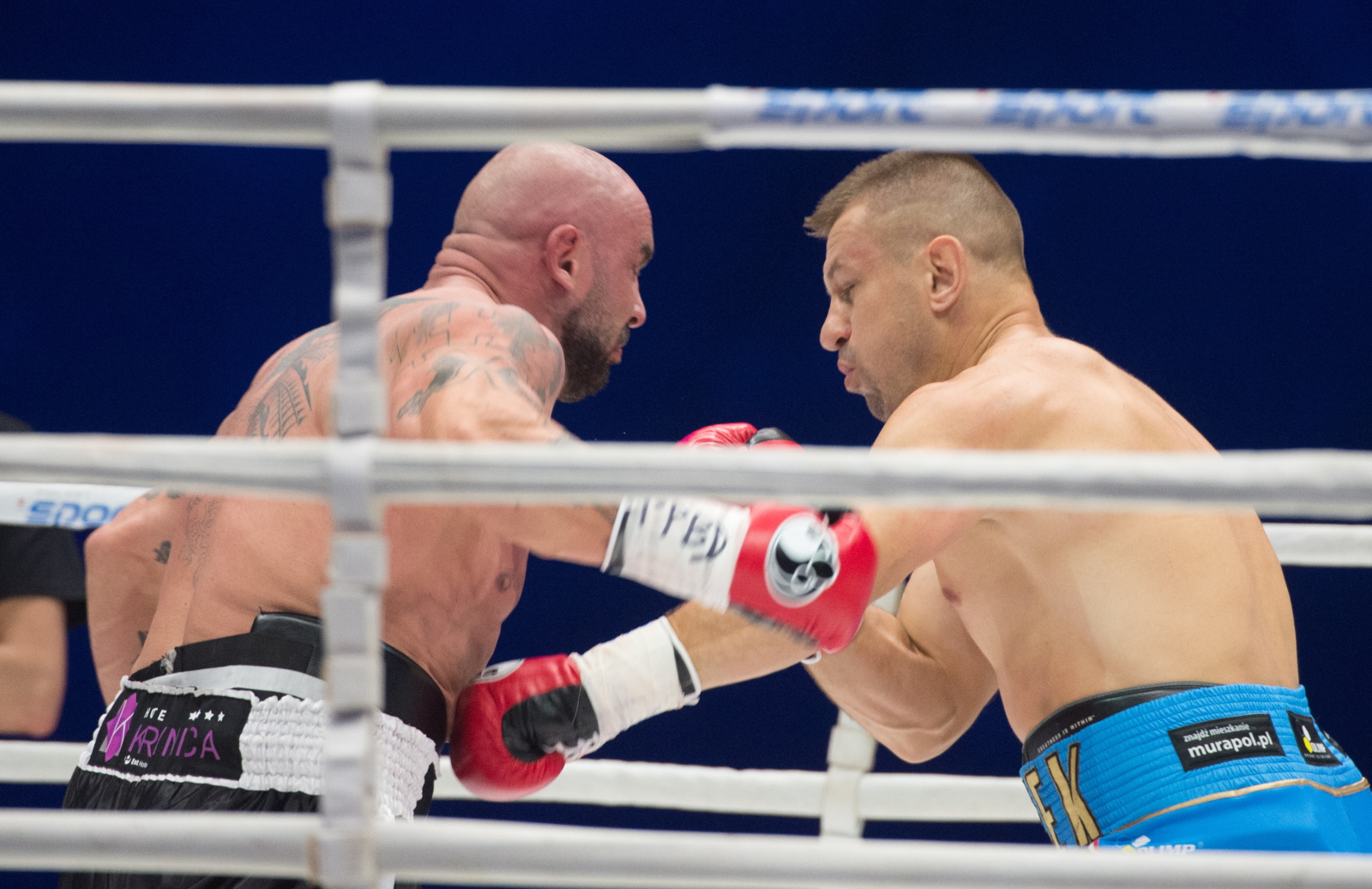 Tomasz Adamek pokonał Przemysława Saletę podczas gali Polsat Boxing Night