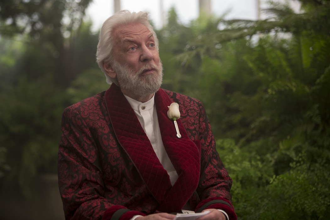 Katniss nadal wierzy, że musi zgładzić prezydenta Snowa (Donald Sutherland), odpowiedzialnego za doroczną rzeź na igrzyskach, bombardowanie cywilów i pranie mózgu jej ukochanego Peety (Josh Hutcherson). Z czasem jednak dostrzega ciemną stronę rebelii. Widzi, że w imię zasady