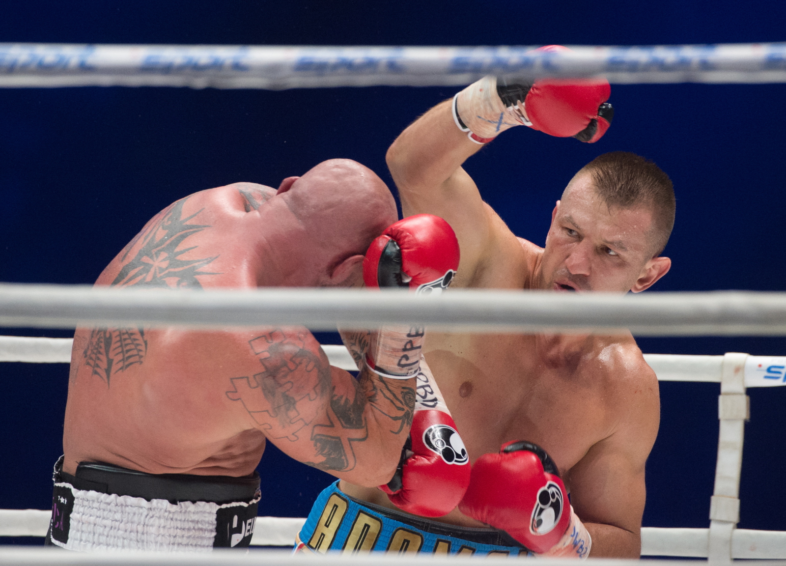 Tomasz Adamek pokonał Przemysława Saletę podczas gali Polsat Boxing Night