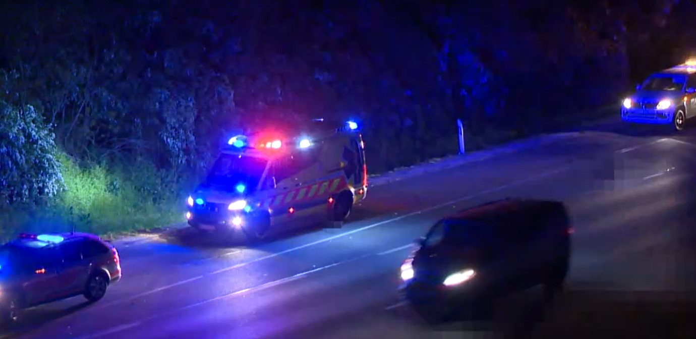 Megszólaltak az M0-son elgázolt idős férfi rokonai: a nagypapa csak egy palack vizet akart venni – videó