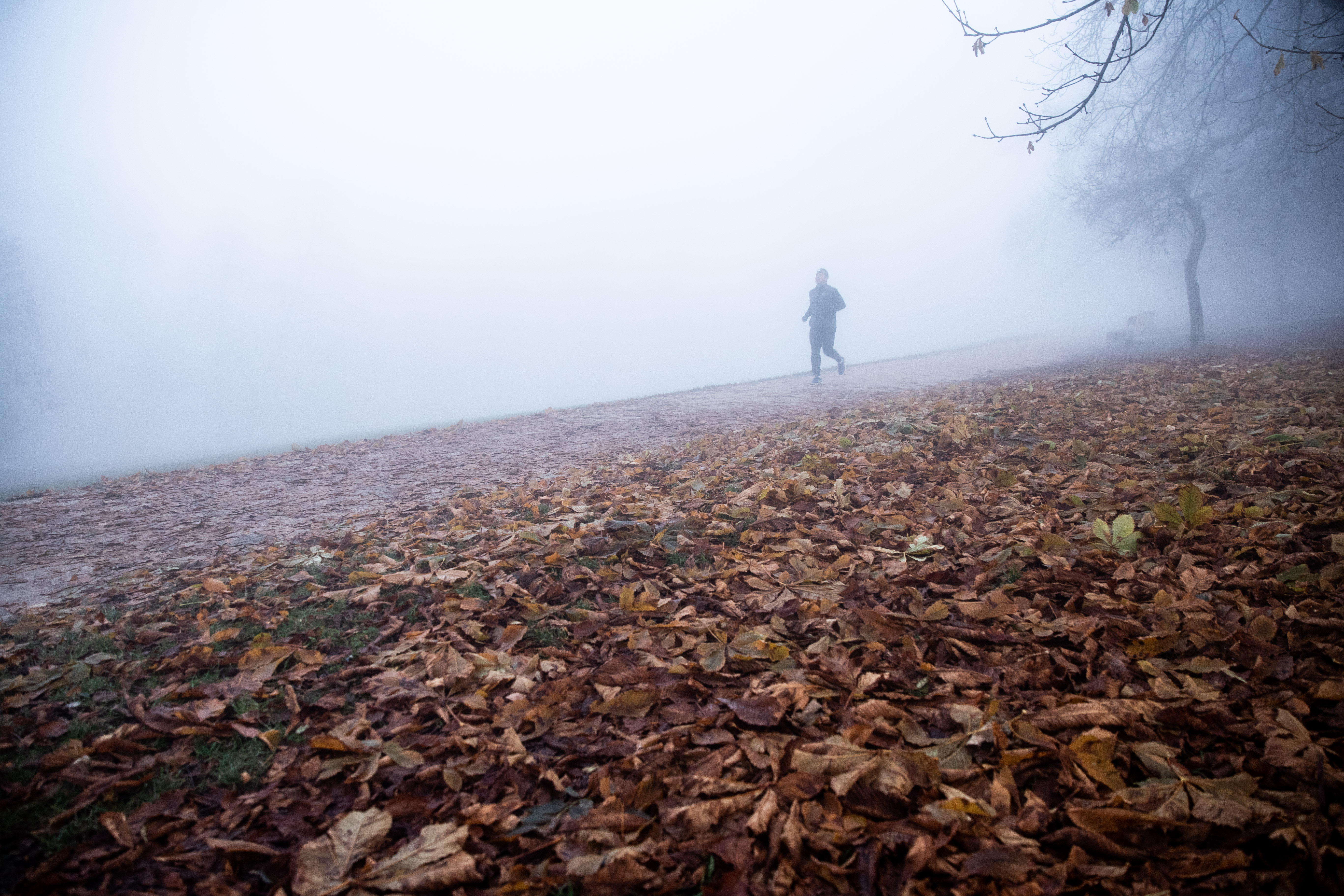 Mi lesz itt? Több vármegyére is kiadták a vészjelzést, hátborzongató ködre kell számítani ma