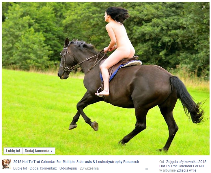 Hot To Trot Calendar 2015