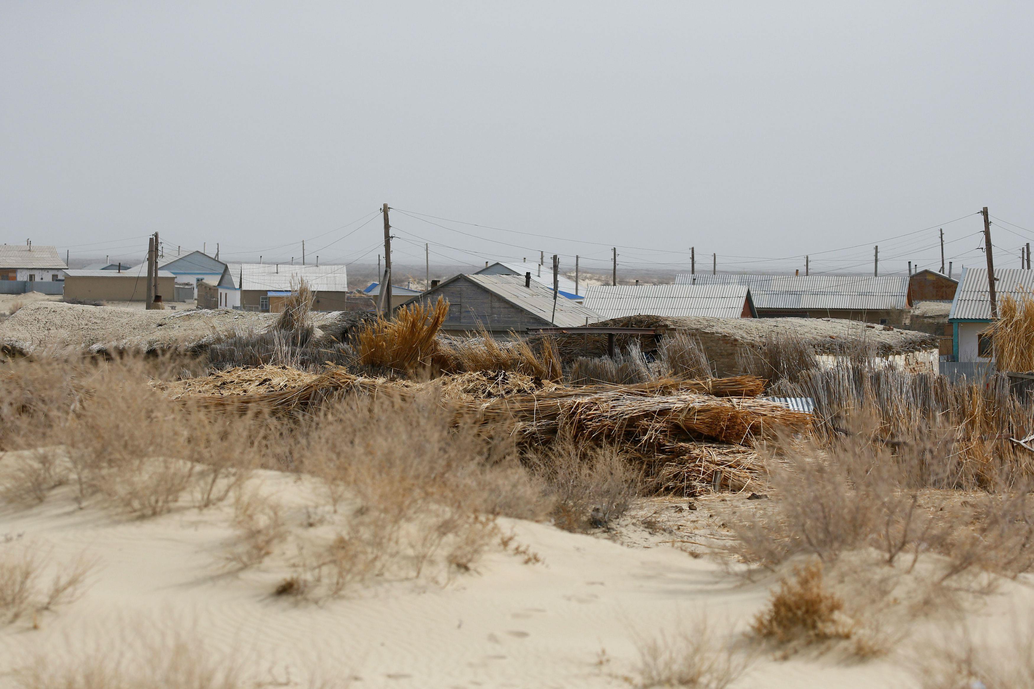 The Wider Image: Aral Sea: big fish is back in small pond