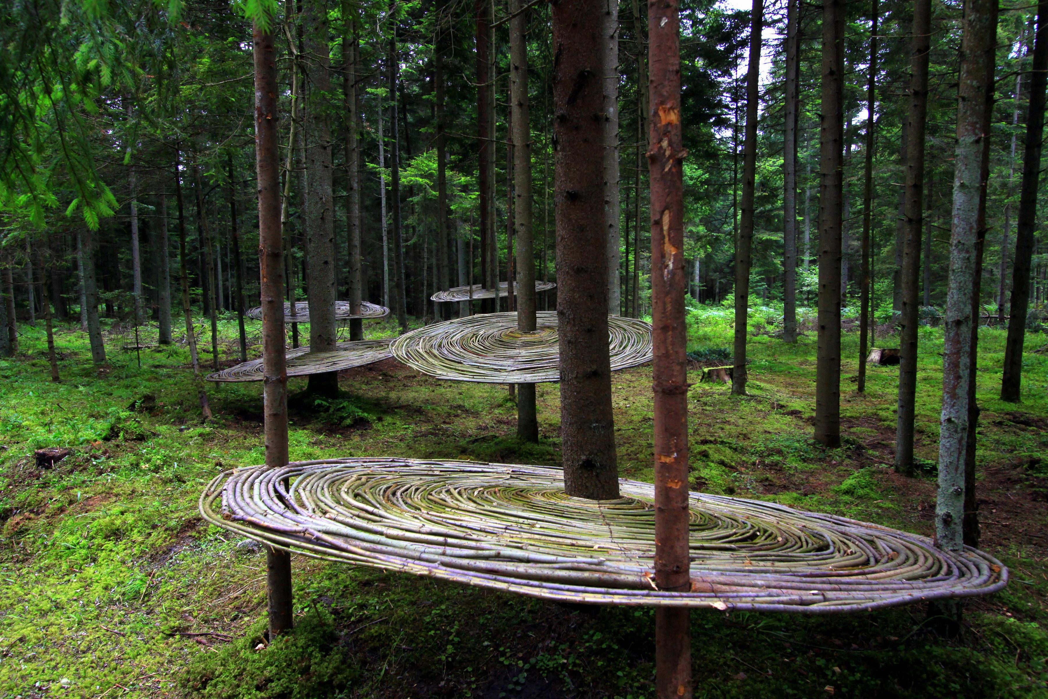 land art, sztuka, instalacje, natura, biała podlaska