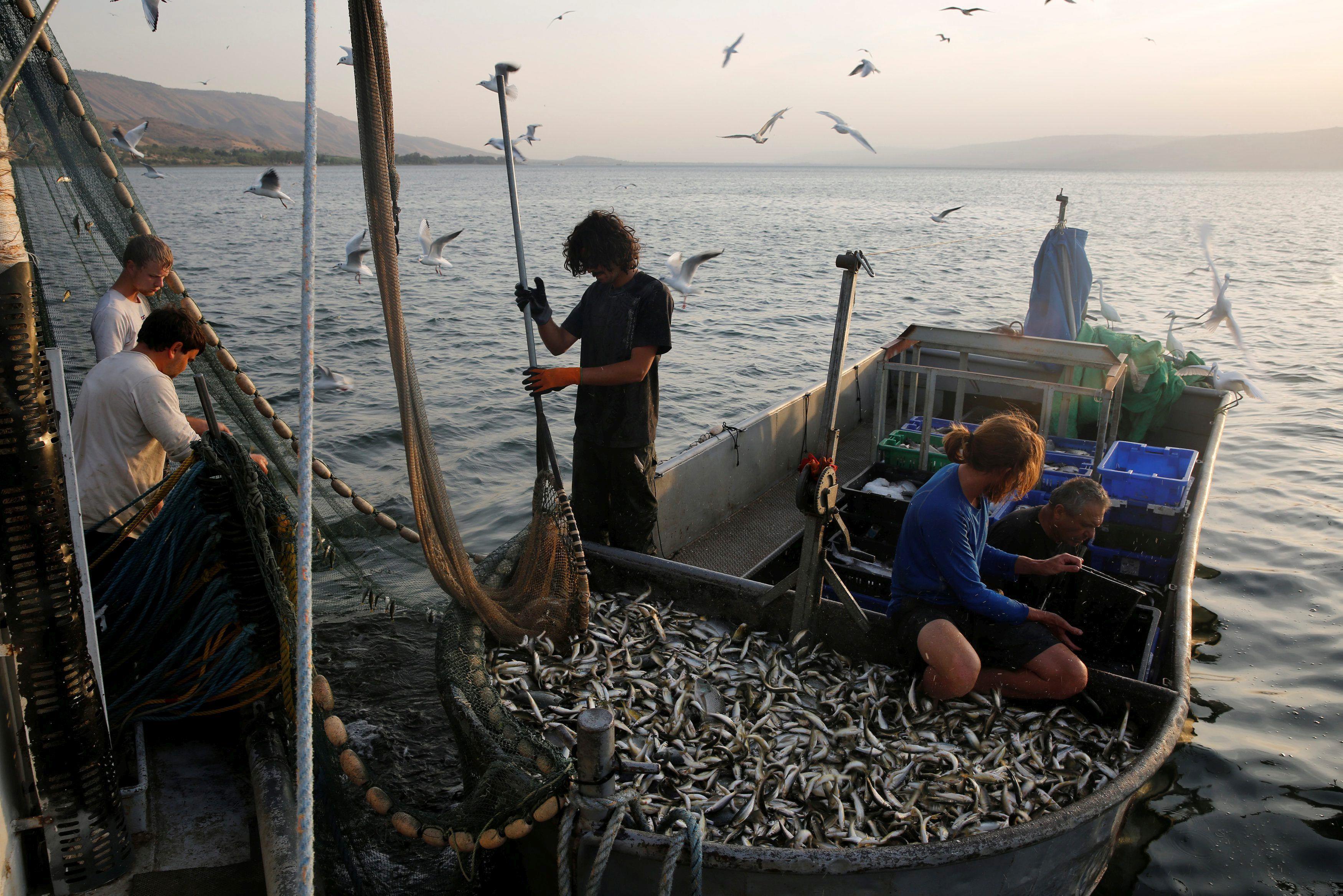 The Wider Image: The Sea of Galilee: receding waters of biblical lake